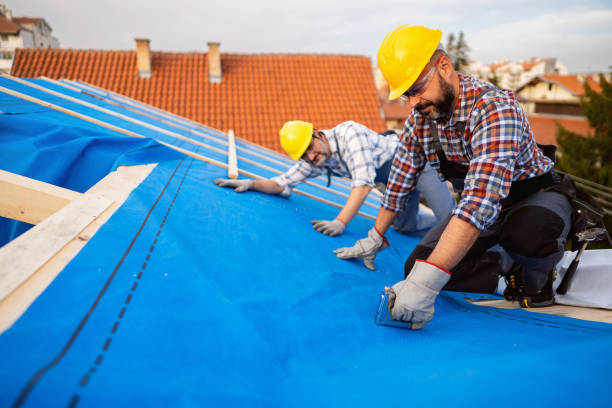 Best Emergency Roof Repair Services  in Nicholson, MS